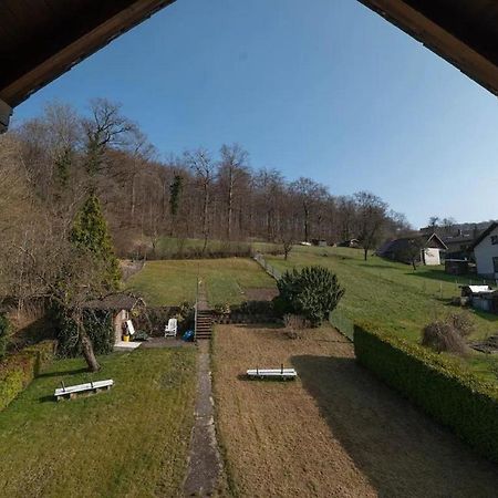 Ferienwohnung Am Waldrand Bad Driburg Kültér fotó